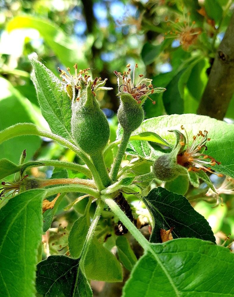 Фотография автора Ирина Лукьянчик
