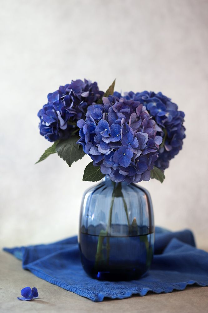 Photograph by Олеся Кучерова