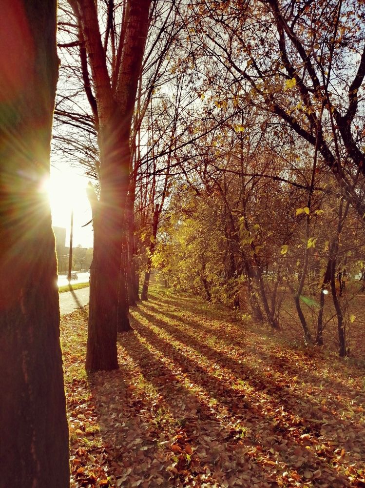 Photograph by Галина Смирнова