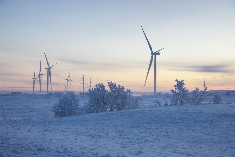 Photograph by Юлия Лазебная