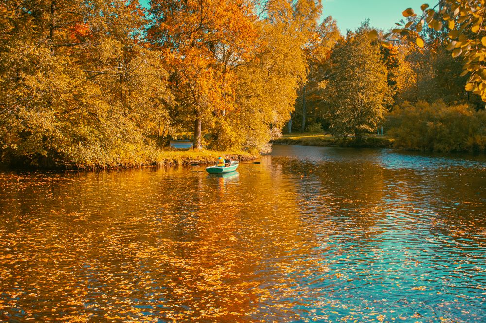 Photograph by Владислав Гриднев