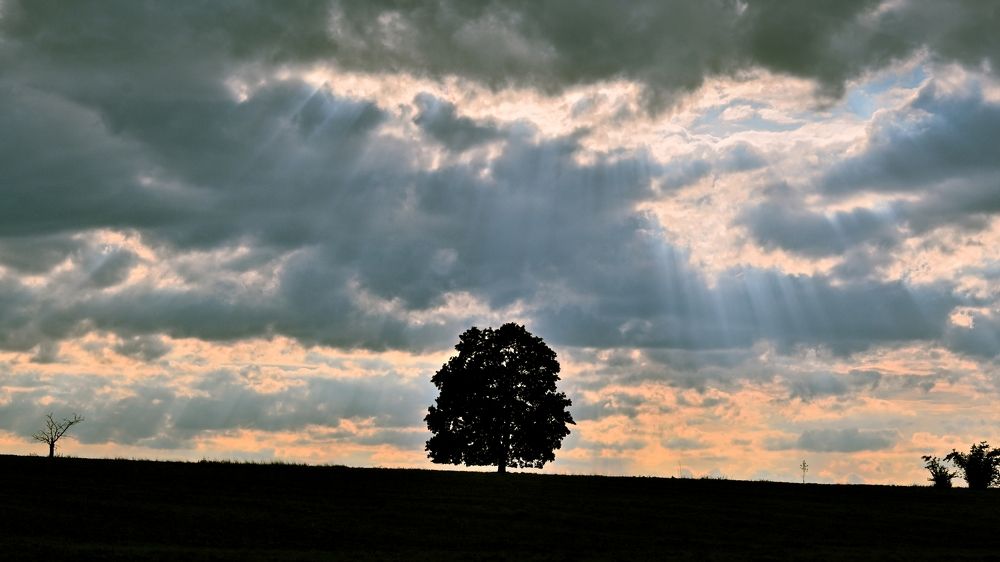 Photograph by Jan Musil
