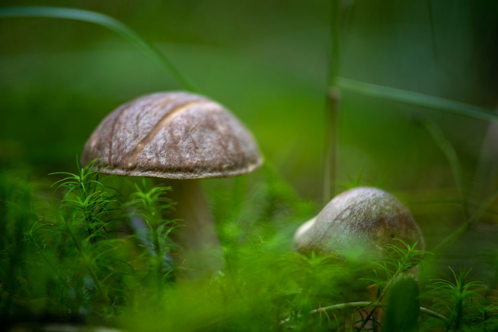 Photograph by Сергей Леканов