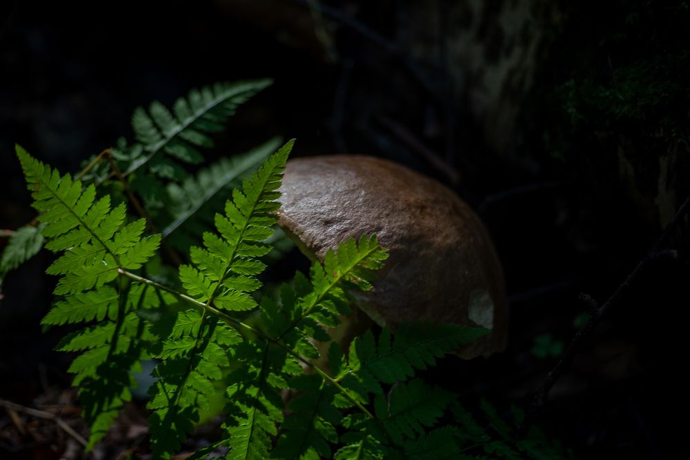 Photograph by Сергей Леканов