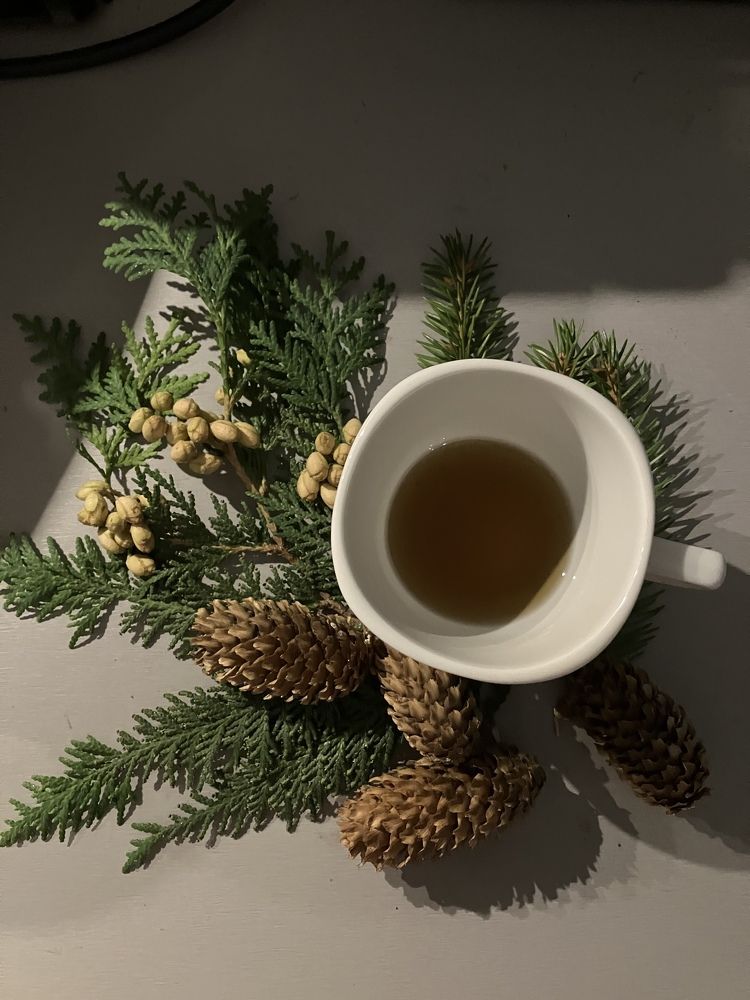 Photograph by Alexander Shcherbakov