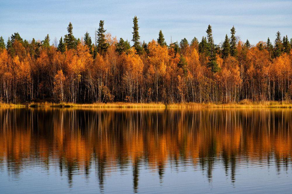 Photograph by Геннадий Субач