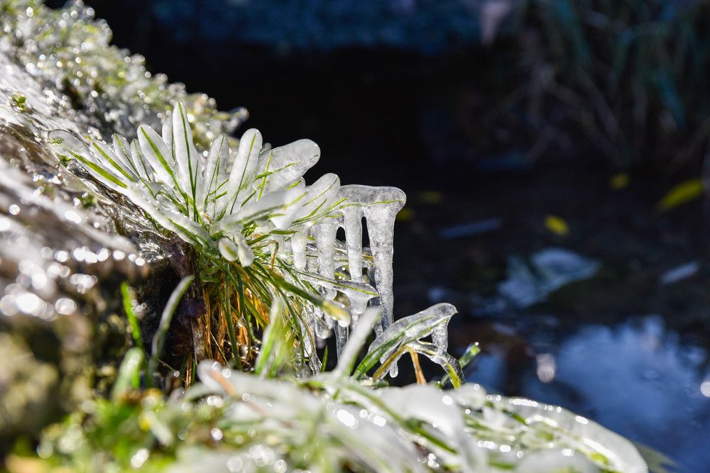 Фотография автора Сергей Чесноков