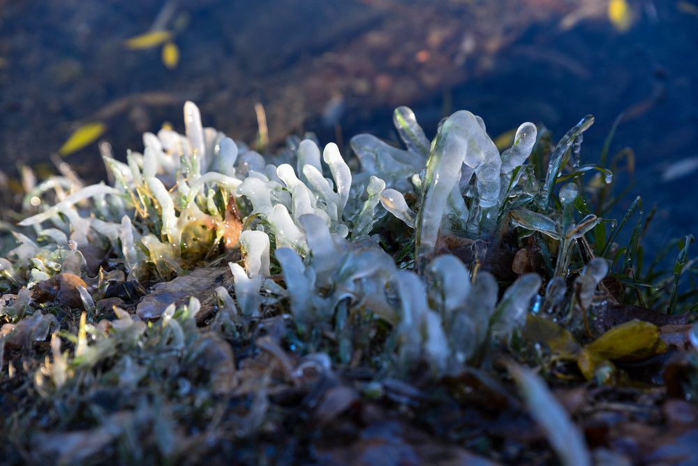 Фотография автора Сергей Чесноков