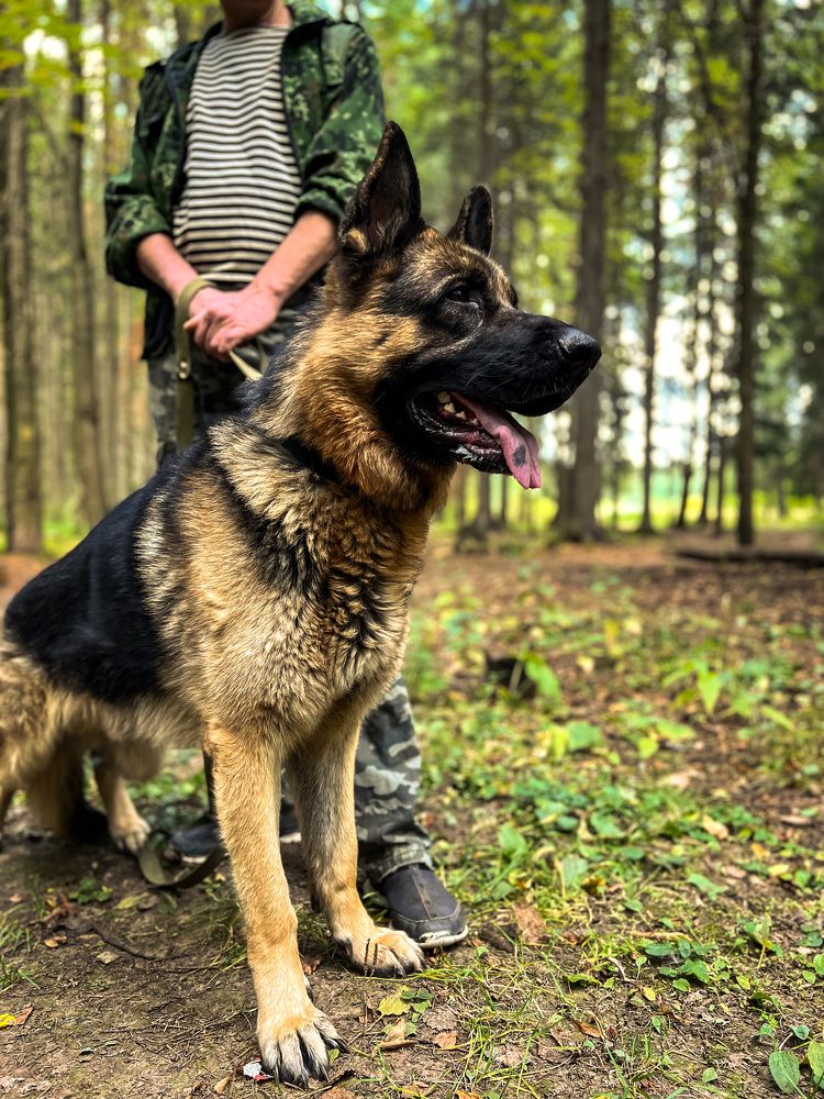 Photograph by Alice Vikernes