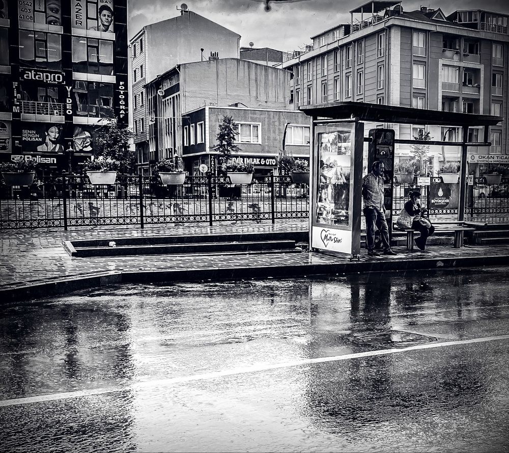 Photograph by Laleh P