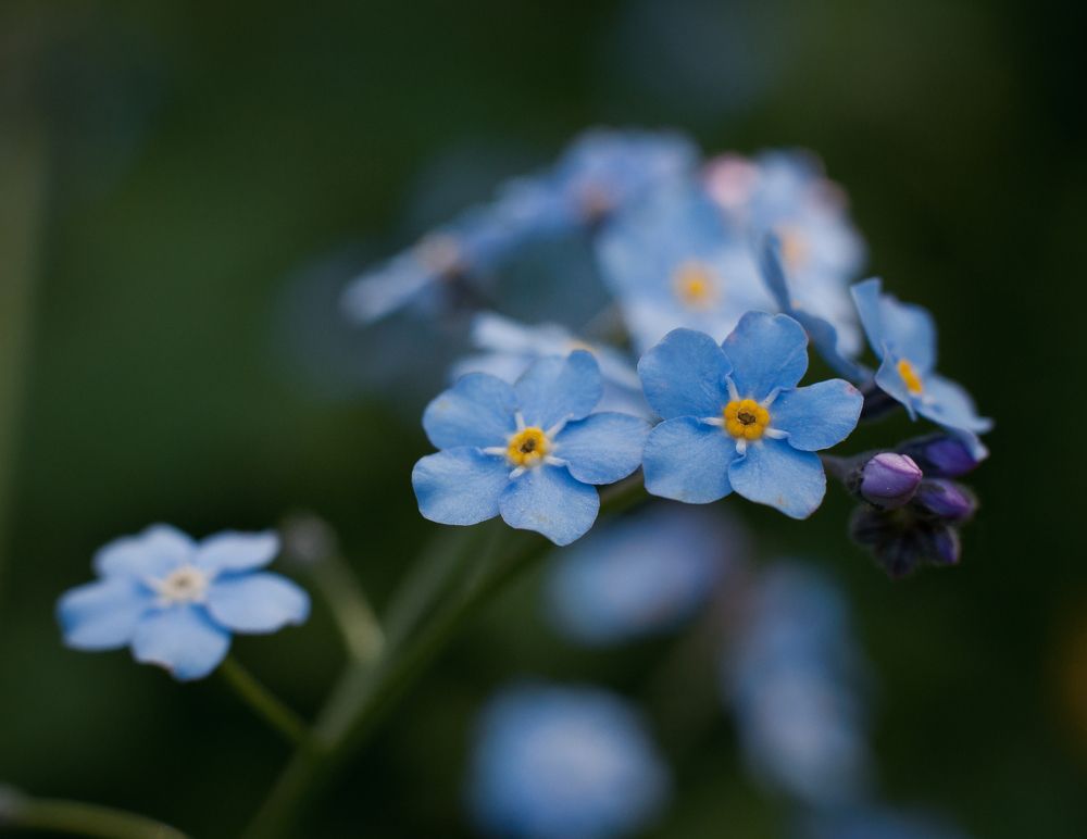 Photograph by Дарья Кончакова