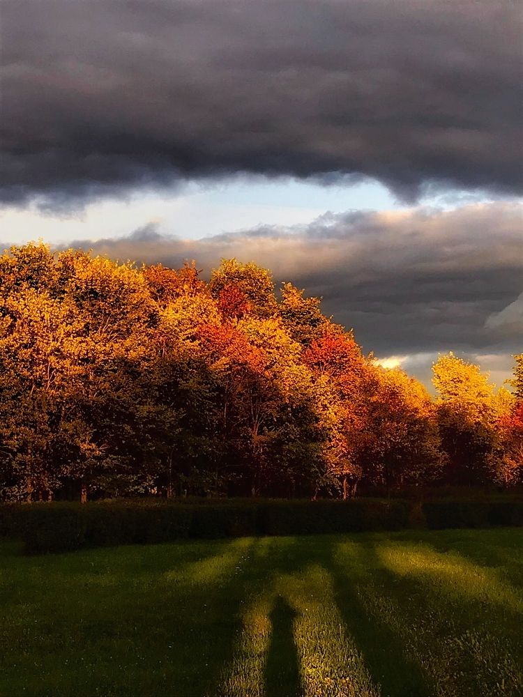 Photograph by Марина Танаева