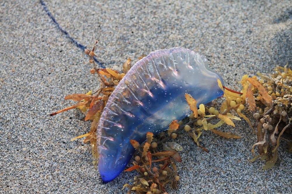 Photograph by Наталья Жигарева