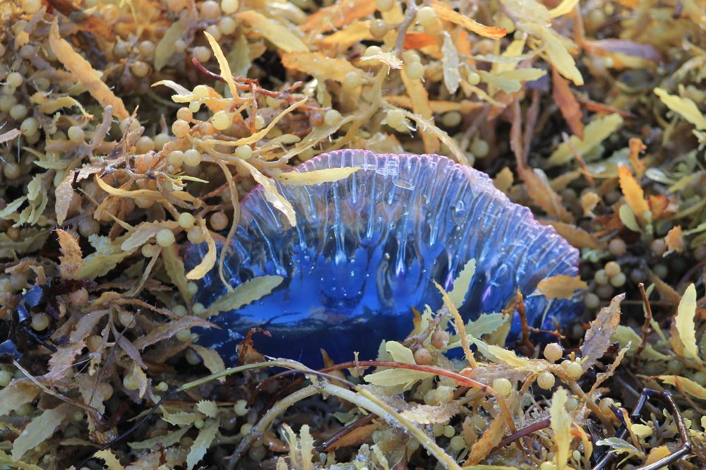 Photograph by Наталья Жигарева