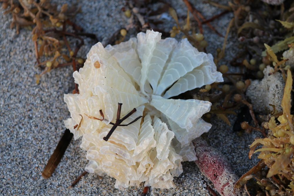 Photograph by Наталья Жигарева