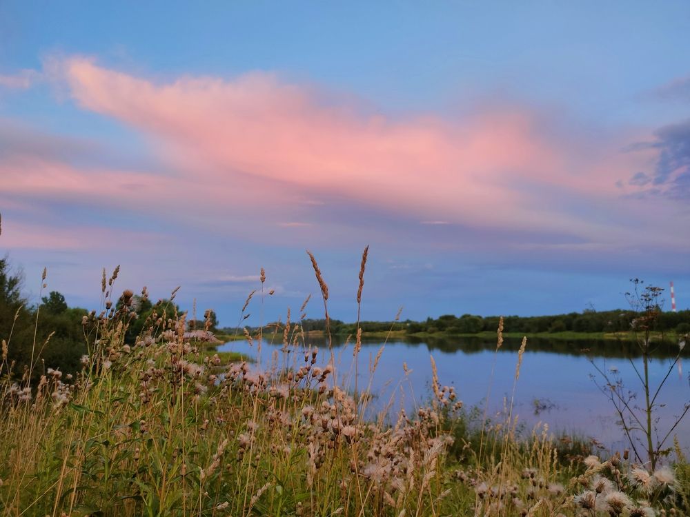 Фотография автора Светлана Смирнова