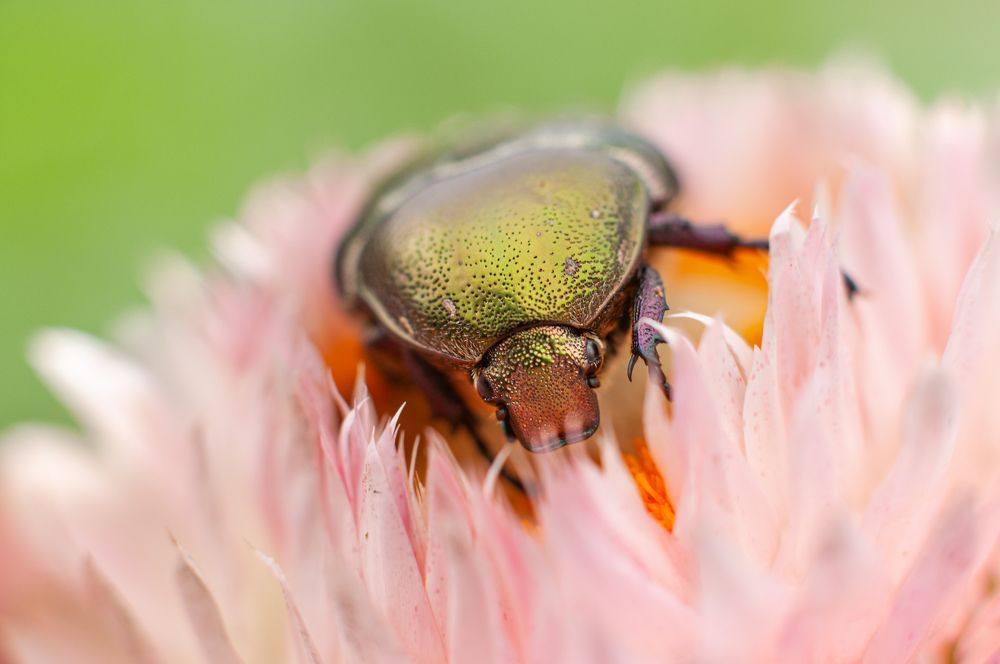 Photograph by Дмитрий Шадрин