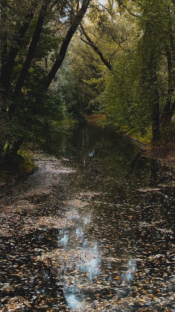 Photograph by Дарья Макаревич