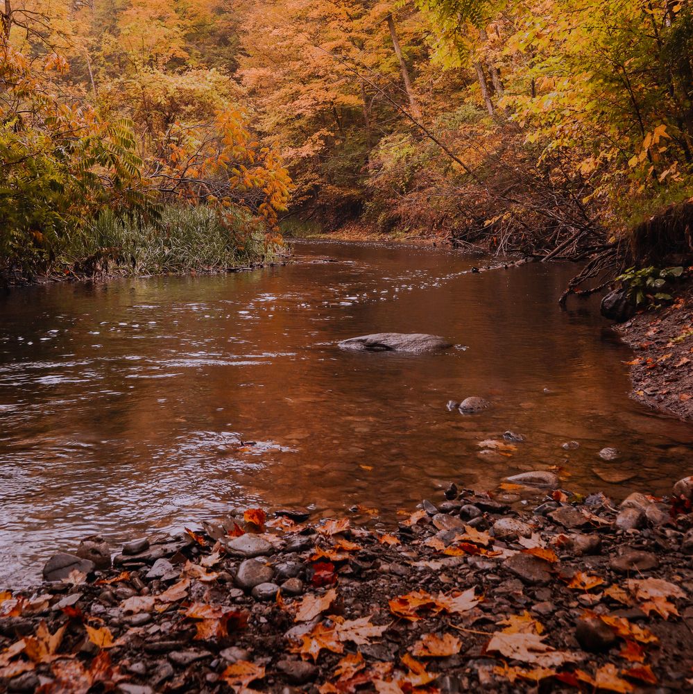 Photograph by Greg Noakes