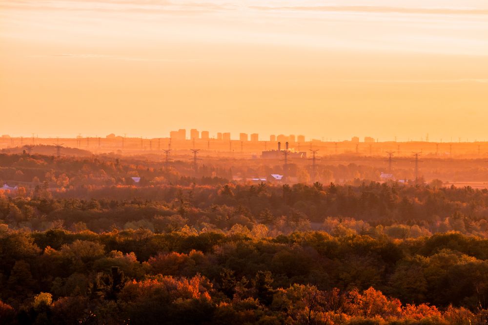 Photograph by Greg Noakes