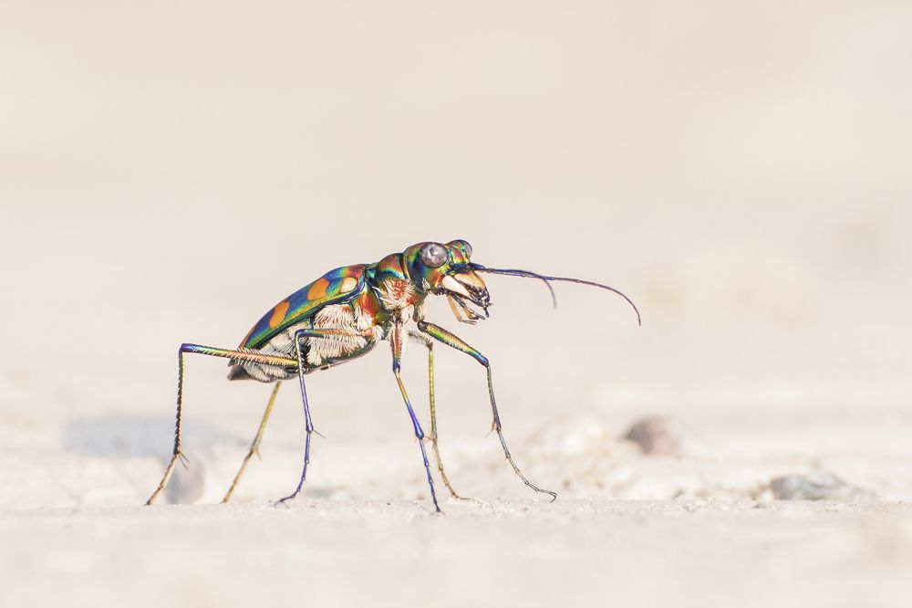 Photograph by saikat chanda