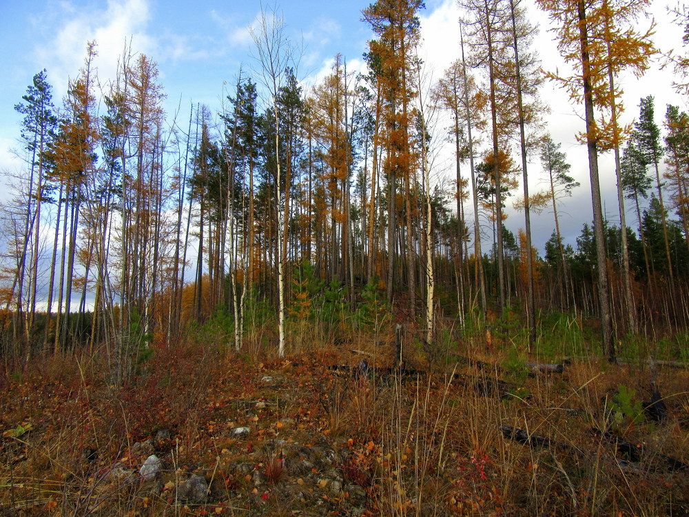 Photograph by Ирина Осипова