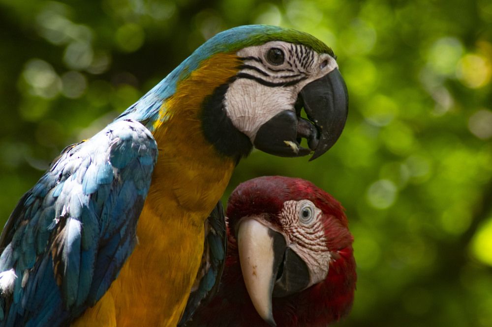 Фотография автора Laverde Yako