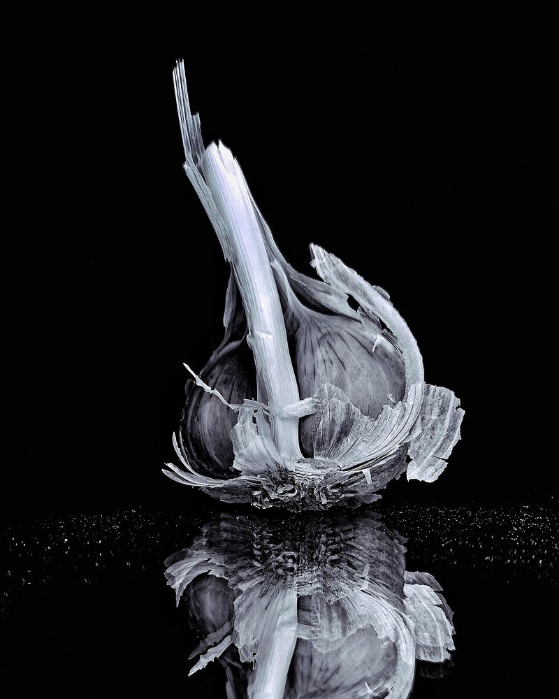 Photograph by Светлана Барабанова