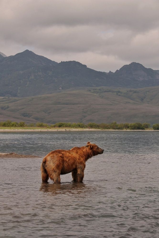 Photograph by Frolova Nataliya