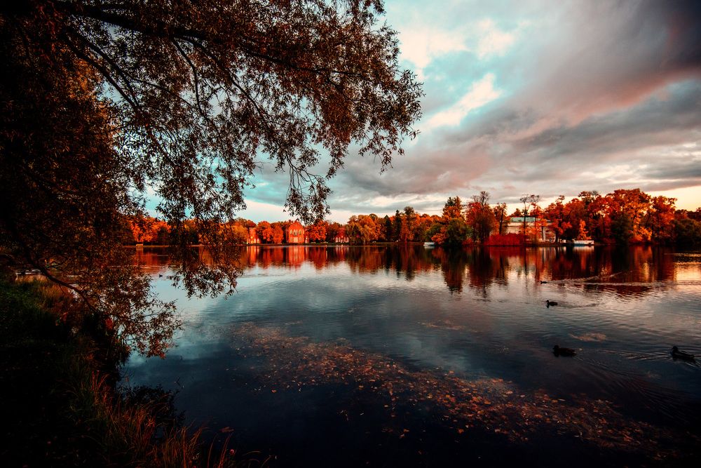 Photograph by Igor Bastrygin