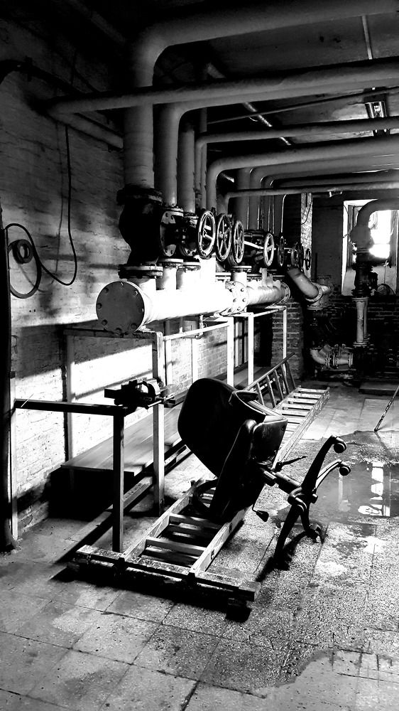 Photograph by Mohammad Mahdi Khojasteh