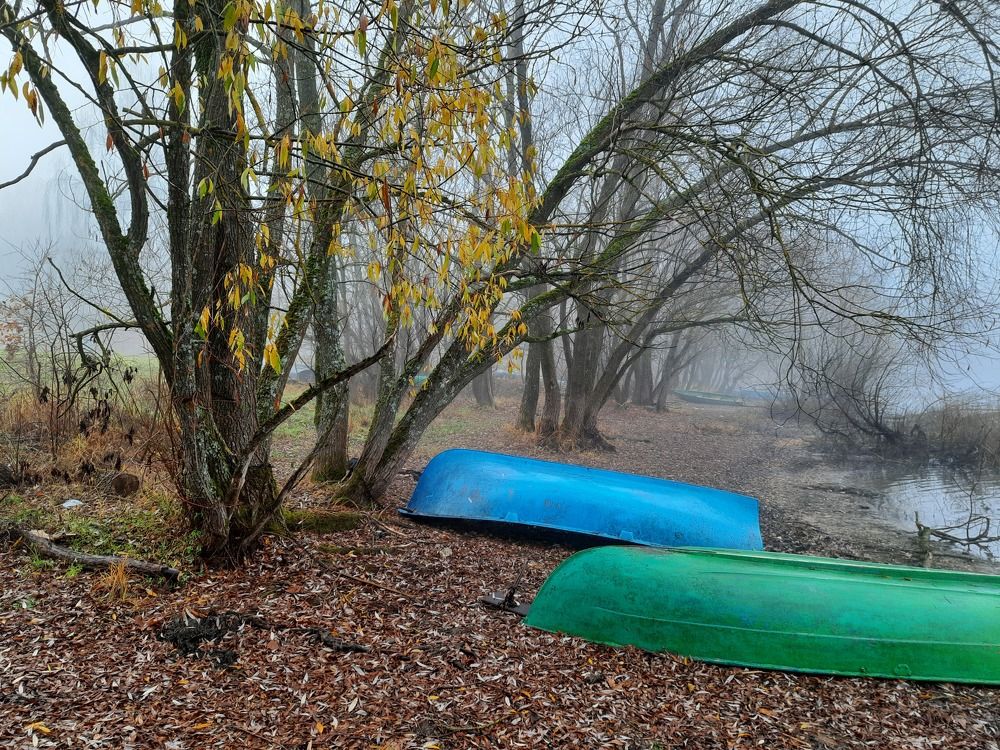 Photograph by Суетинов Евгений