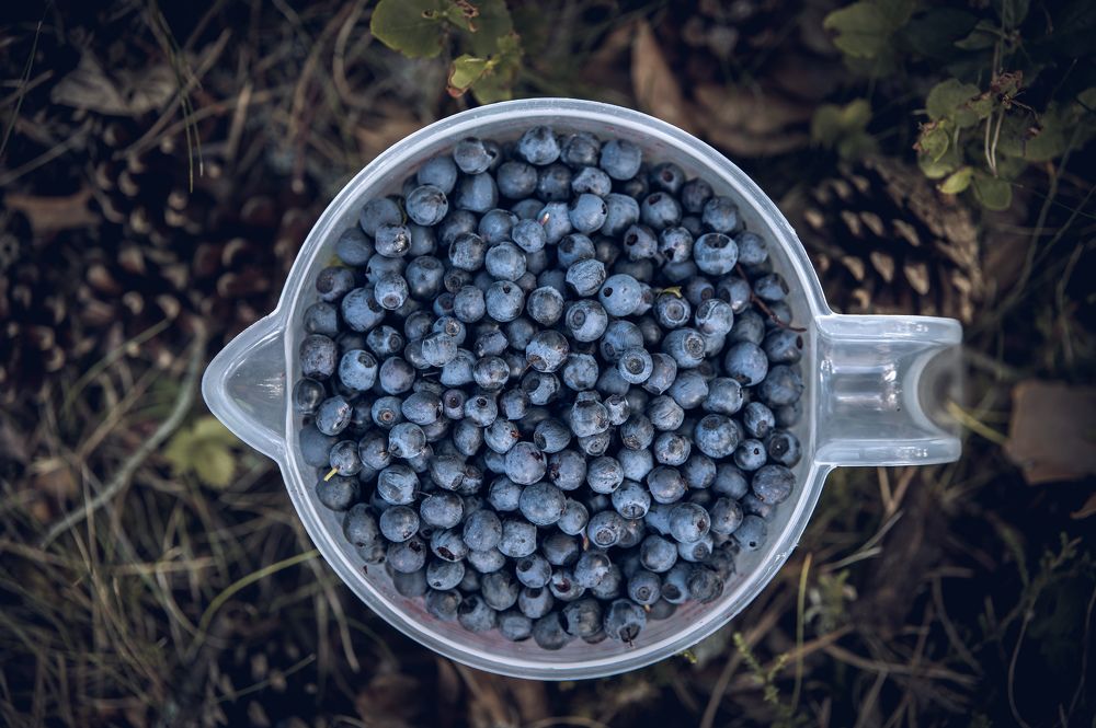 Photograph by Margarita Zakaryan