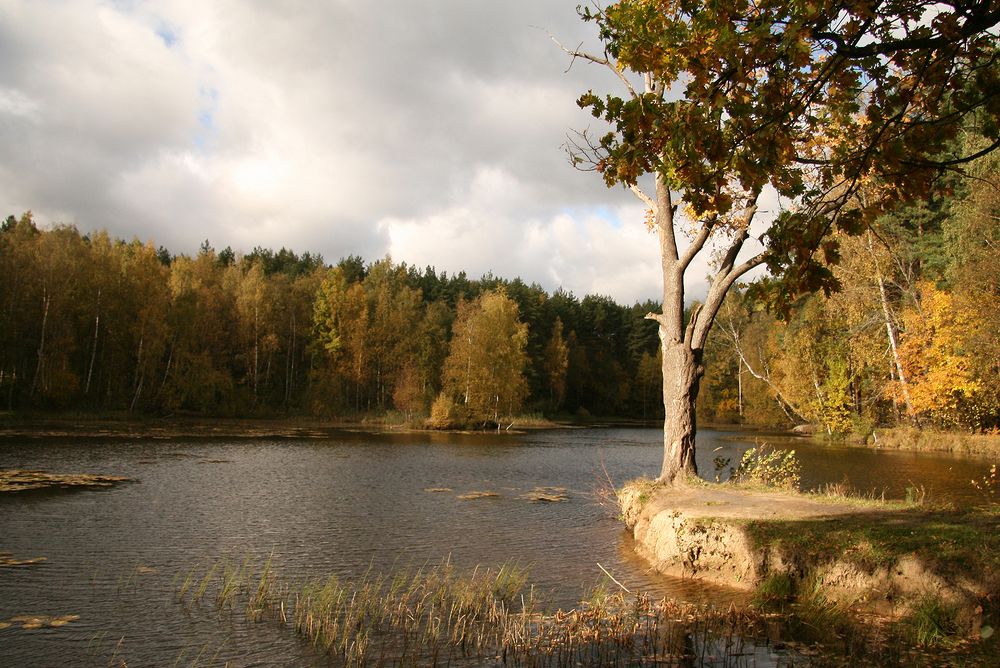 Фотография автора Надежда Лисицына