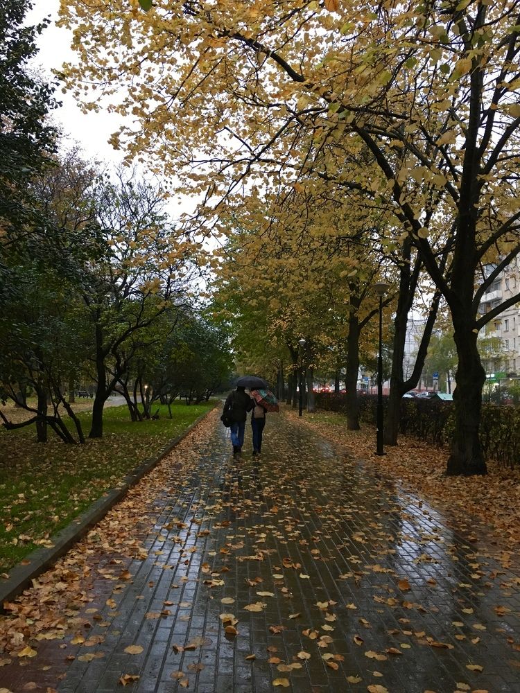 Photograph by Елена Макуха