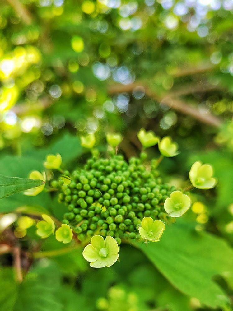 Photograph by Мария Тёмкина