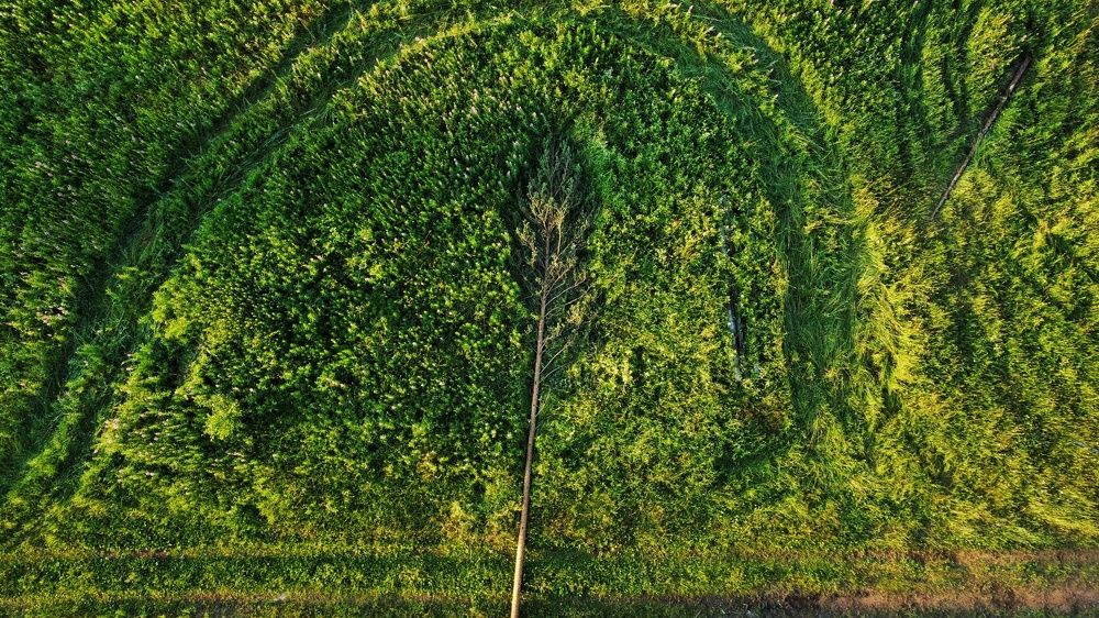 Photograph by Мария Тёмкина