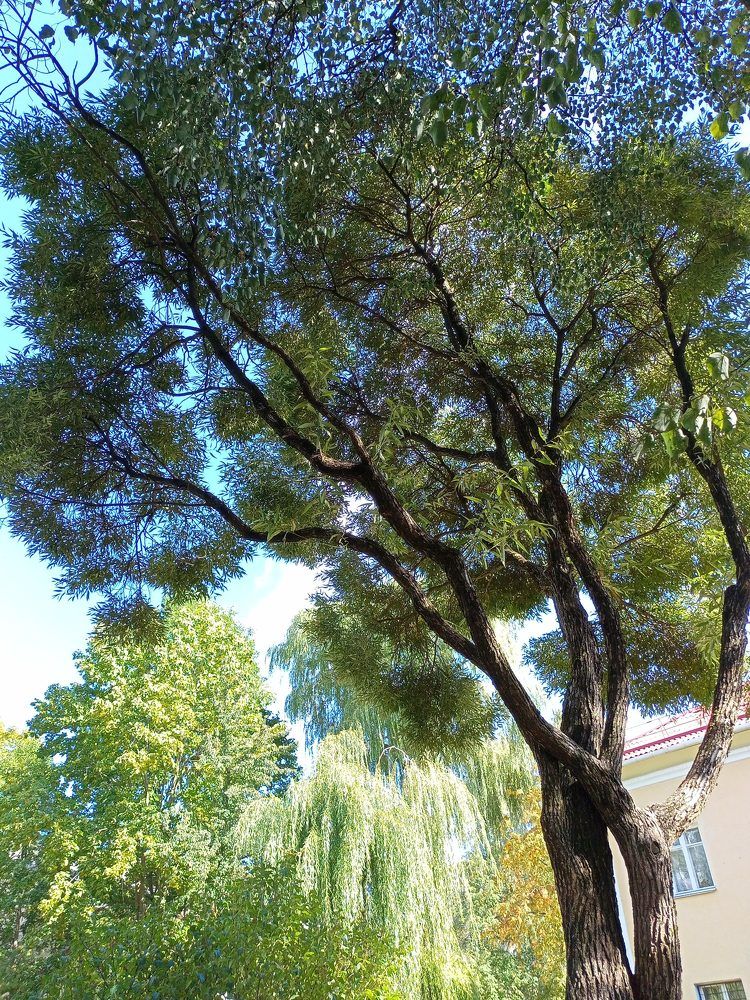 Photograph by Жанна Харкевич