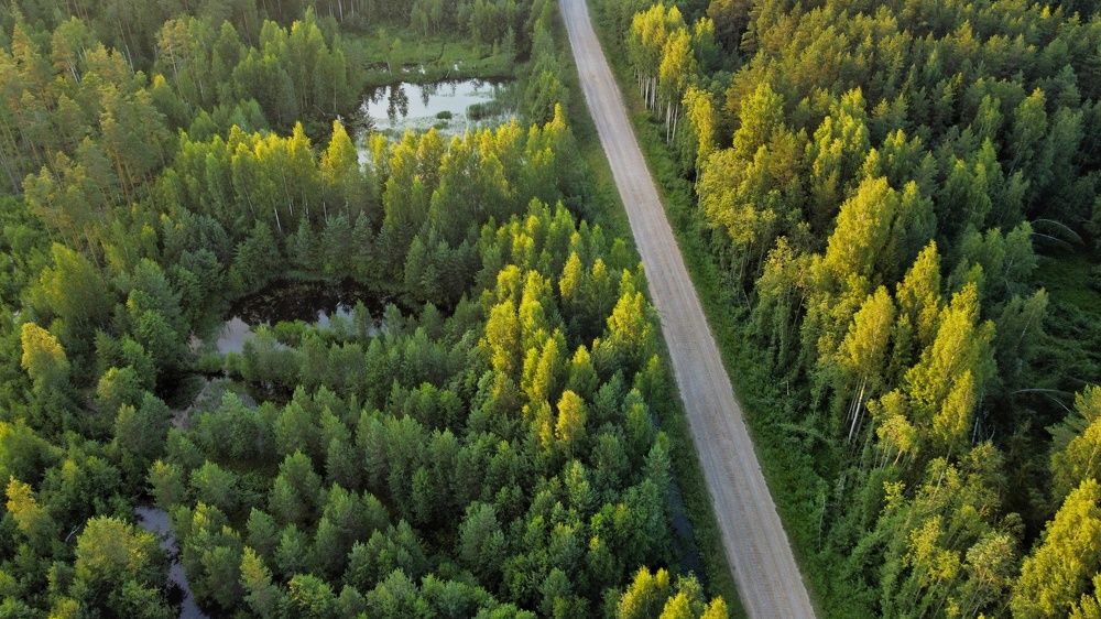 Photograph by Мария Тёмкина