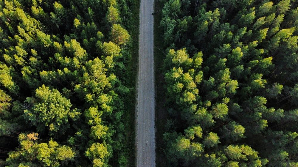 Photograph by Мария Тёмкина