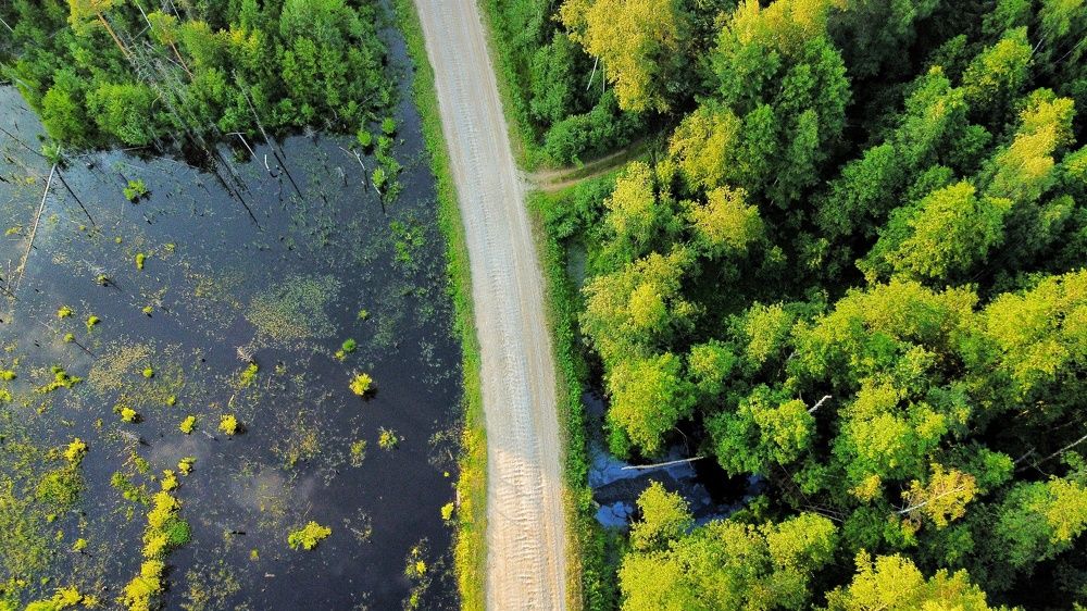 Photograph by Мария Тёмкина