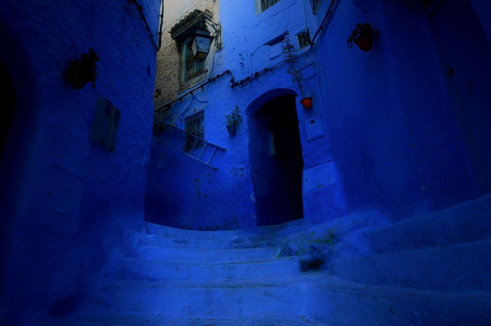 Photograph by Александр Перегудов