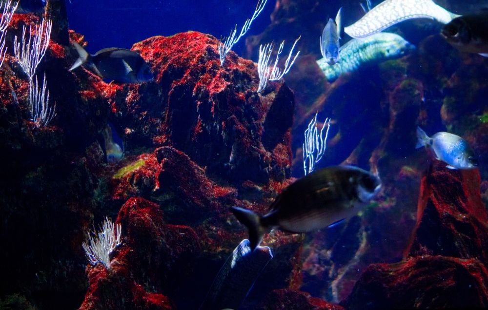 Photograph by Александр Перегудов