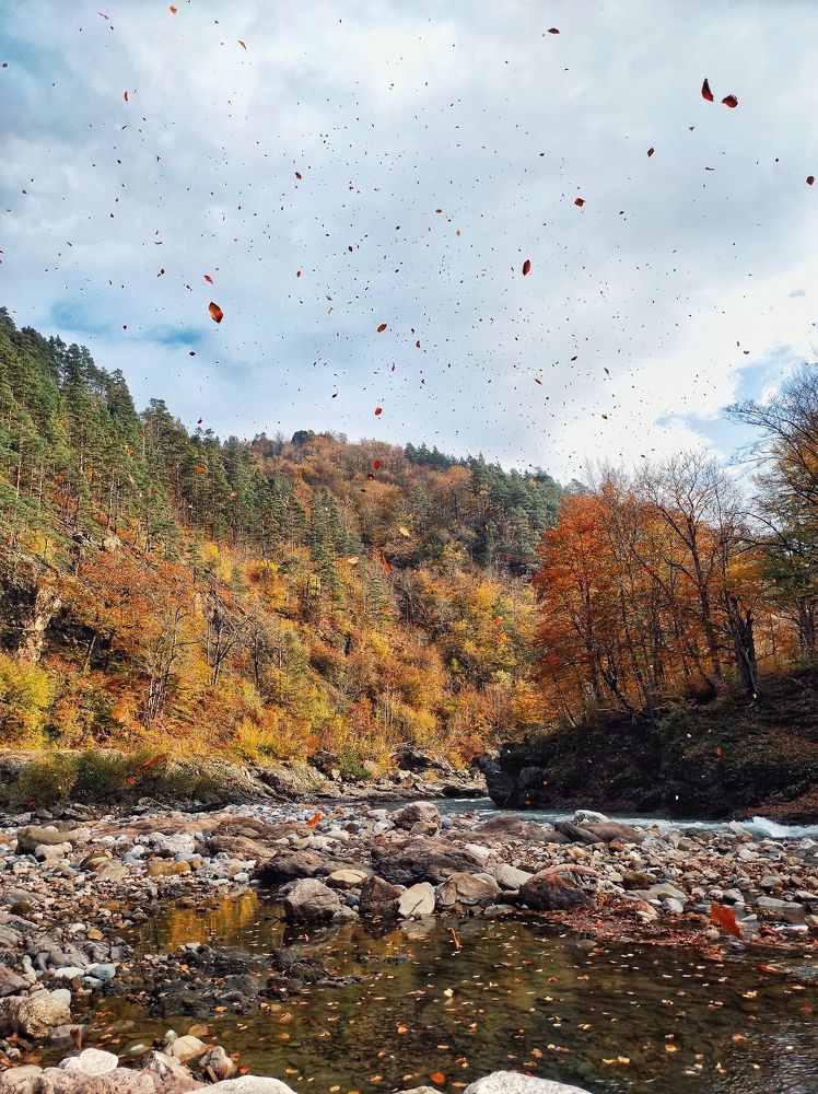 Photograph by Владимир Караман