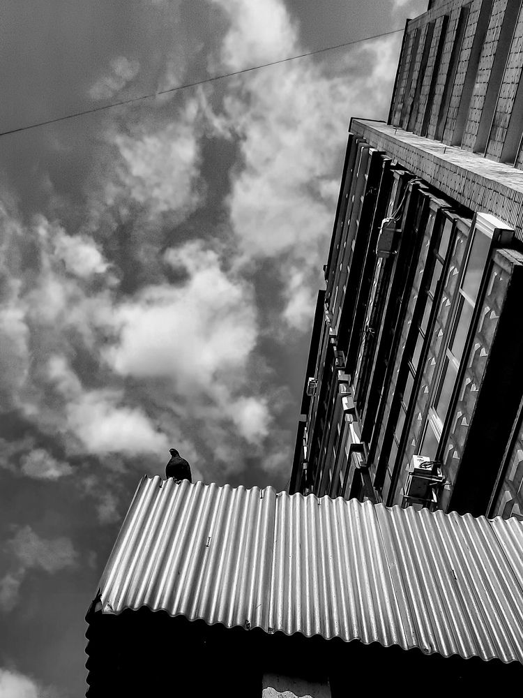 Photograph by Djilma Dark