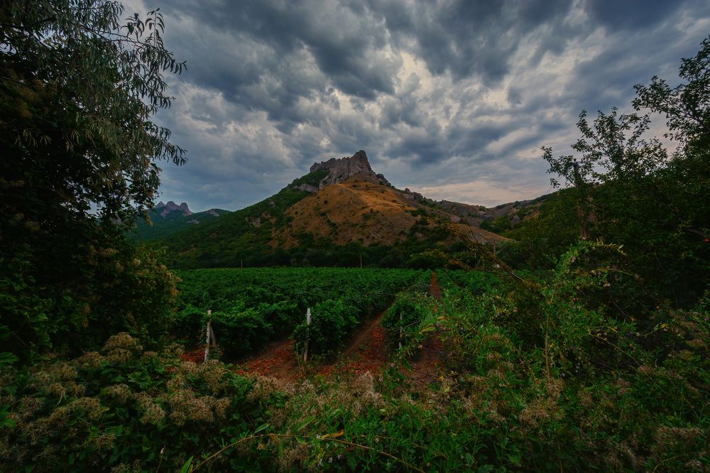 Photograph by Владимир Гамаюнов