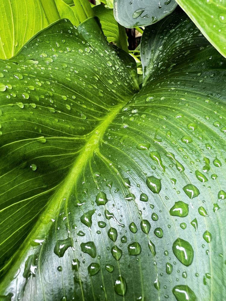 Photograph by Ольга Сизонюк