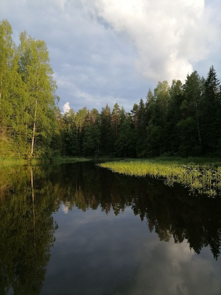 Photograph by Анна Ваванова