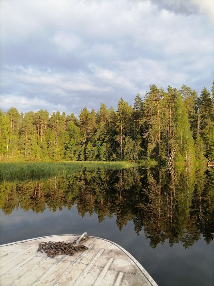 Photo #8052346