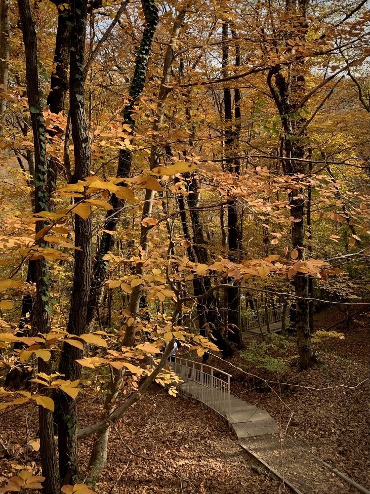 Photograph by Татьяна Семёнова